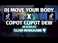 Download Lagu DJ MOVE YOUR BODY X PAK CEPAK CEPAK JEDER TIK TOK TERBARU 2021