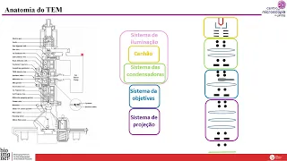 Aula 4 - Fundamentos de Microscopia Eletrônica - Aspectos básicos e algumas aplicações- Parte 2