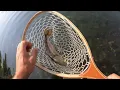 Some Fun Trout Action Lake Tanycomo Missouri