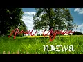 Download Lagu Ainul Uyun - Nazwa Maulidia (Video Lirik)