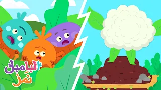 كريب القرنبيط الضخم البامبل ن مز كارتون للأطفال 