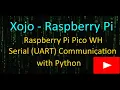 Xojo Raspberry Pi 5 UART Communication with Raspberry Pi WH with Python