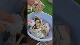 zapatos deportivos, lucen amarillentos, manchados, o llenos de sucio