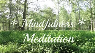 Download 15 MINUTES of Flowing Water and Nature Sounds - Mindfulness Meditation *Relaxing *Soothing MP3