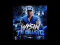 Wisin - Te Guayo By Joseph DJ 
