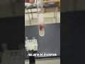 Enzyme Activity Lab