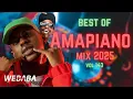 Download Lagu Best of Amapiano Mix 2025 Vol 143 | Dj Webaba