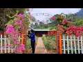 Lagu How to build and finish a beautiful farm gate using red bricks. Plant flowers to decorate the farm.