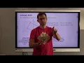 eMath Instruction Instagram Live Geometry Review Session