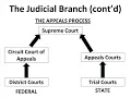 Chapter 2 - The Founding and the Constitution
