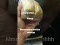 Download Lagu ' KOPI BUBUK SINAR BARU cap BOLA DUNIA NJIT SIN HOO ' coffee legend from Lampung ( since 1911 )