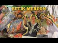 Lagu DURINYA BANYAK BANGET TAPI BIKIN NAGIH⁉️ BETIK MERCON SAMBAL CIMONGKAK