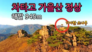 해발945m 자동차로 올라 천년고찰과 도보30분 가을산정상 바위틈에 자란 나이를 알수없는 기이한 소나무 360도 파노라마 미친뷰 #오지산골다큐 #오지자동차여행 #오지암자 썸네일