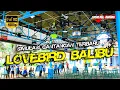 Download Lagu BIKIN GACOR | Simulasi Gantangan Lovebird balibu Terbaru