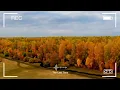 October Morning 🍂 Chill songs to make you feel positive and calm | Indie/Pop/Folk/Acoustic Playlist