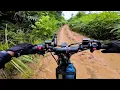 Download Lagu Cerita binatang buas dalam perjalanan ke sekolah di hutan