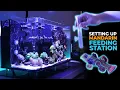Setting Up Mandarin Dragon Feeding Station \u0026 Nano Reef Tank Update | Blue Reef Tank