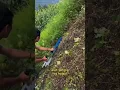 Download Lagu Mesin potong rumput elektrik cocok untuk lokasi miring