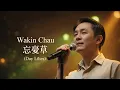 Lagu Wakin Chau – 忘憂草 (Day Lilies) | Emotional Mandarin Ballad | AI Cover