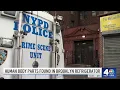 Brooklyn woman claims husband killed drug dealer stored body in her fridge NBC New York