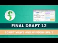 Final Draft 12 Script Views and Split Windows