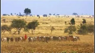 myiaka ya tene ndooa raha syambatane
