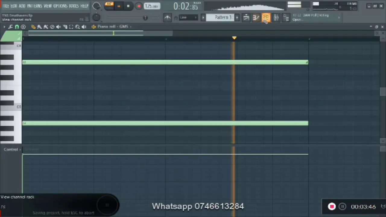 How to make Tipcee Feat. TNS Ematarven in Fl studio