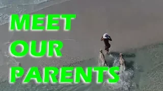 Meet Our Parents – Sailing Doodles -S2:E19