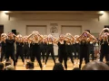 Delta Kappa Psi Mayterm Lipsyc 2016
