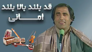 امانی   قد بلند بالا بلند                                  دندنها