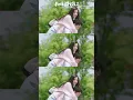 Download Lagu 我的世界本没有光，可是你来了💗我的刺猬女孩之念念不忘Closer To You S2
