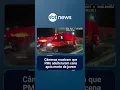 Download Lagu Gravação de câmera corporal da PM causa reviravolta em investigação de morte | SBT Brasil (24/05/25)