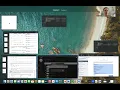 Turtle Walk Function