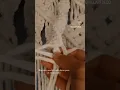 tutorial macrame nudo Basico pero hermoso