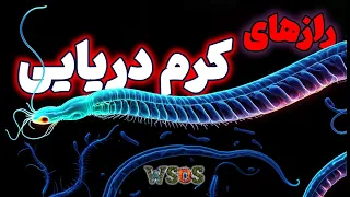 تصفیه گران طبیعی آب شیرین 