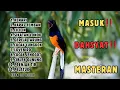 Download Lagu 🔴 KOMBINASI MUDAH MASUK ‼️ MASTERAN MURAI BATU GACOR