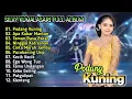 Lagu Podang Kuning - Silvy Kumalasari Full Album Terbaru | Campursari Dangdut Koplo | Patgulipat,Klenteng