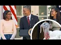 Download Lagu 😂 President Barack Obama Cracks Some Brilliant Dad Jokes - Funny Moments