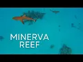 Lagu MINERVA REEF (Ep. 29) | Exploring South and North Minerva Reefs