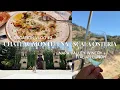 Napa Valley - Chateau Montelena Lunch at Scala Osteria TRAVEL DIARIES