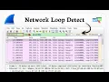 How to detect network loop with Wireshark Connection Review