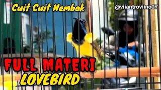 full materi mewah sogon gacor ngleper bongkar isian lovebird