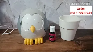 Download Diffuser owl Young living / Feather the owl Diffuser MP3