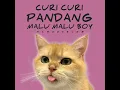 Curi Curi Pandang x Malu Malu Boy