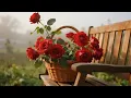 Download Lagu De mooiste muziek ter wereld🌺De mooiste lentemelodie🌿Muziek van Sergey Grischuk