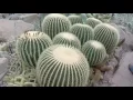 Meijer Gardens in Grand Rapids Michigan