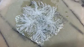 9 Dec 2022.  Strong point on the deck hatches for the ratchet strap.  + Start of new rudder detail.