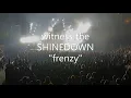 Shinedown Sec203 RowE Seat1 Honda Center