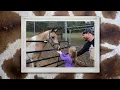 Chestatee Wildlife Preserve Zoo