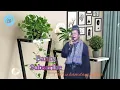 Download Lagu kisah lucu guru hamdani akbar full lucu nya